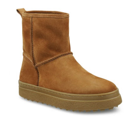 GANT